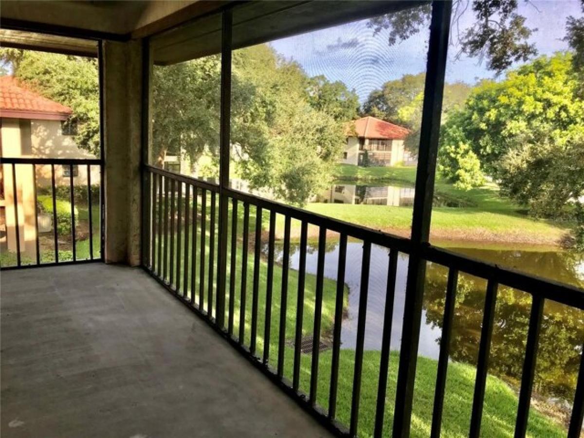 Picture of Home For Sale in Clearwater, Florida, United States