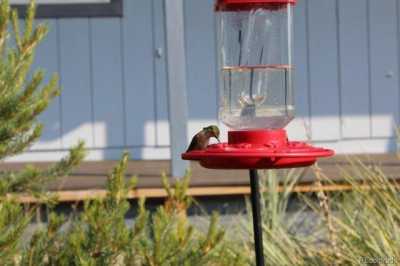 Home For Sale in Westcliffe, Colorado