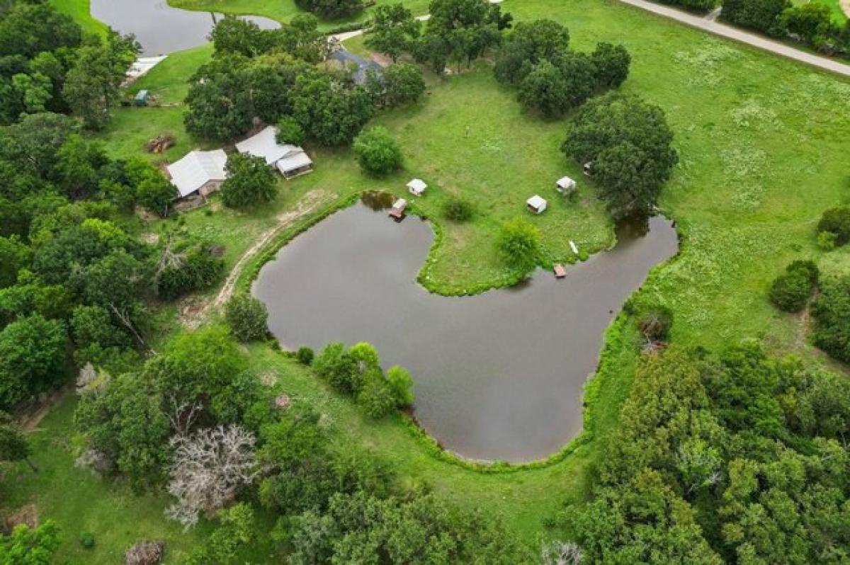 Picture of Home For Sale in Terrell, Texas, United States