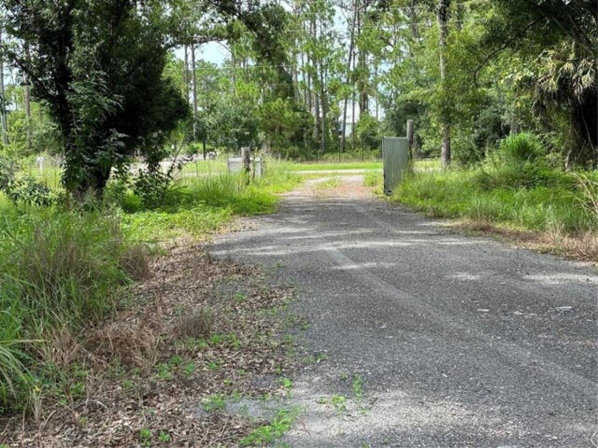 Picture of Residential Land For Sale in North Port, Florida, United States