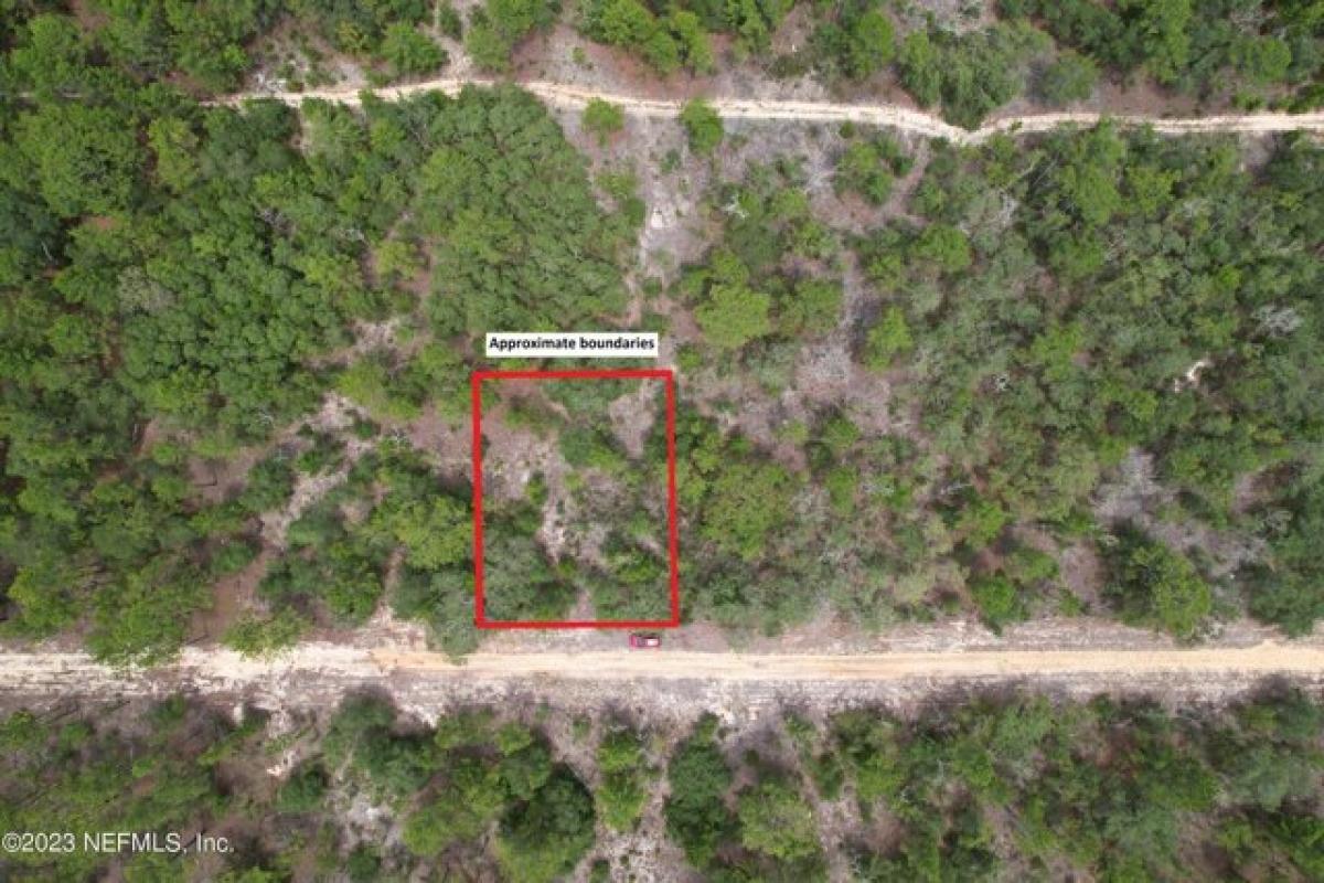 Picture of Residential Land For Rent in Interlachen, Florida, United States