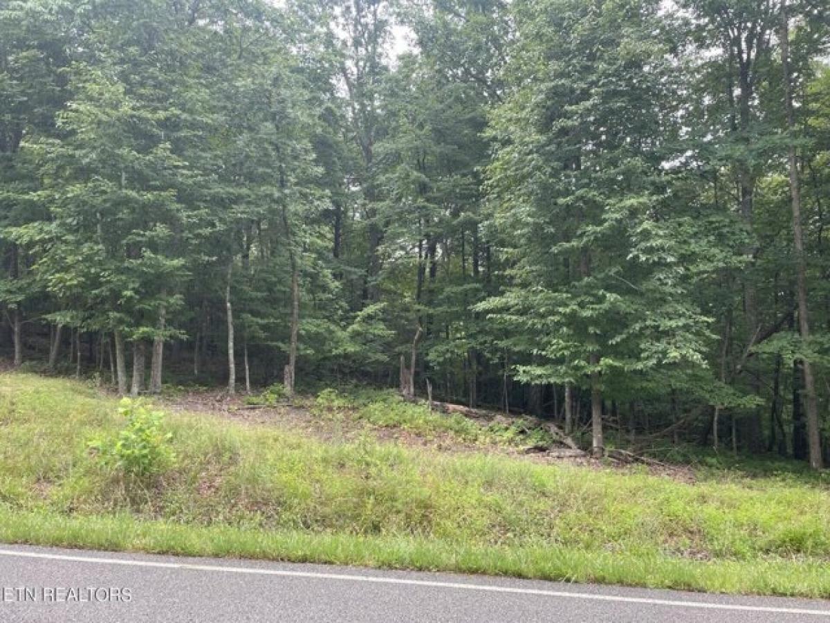 Picture of Residential Land For Rent in Crossville, Tennessee, United States
