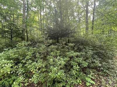 Residential Land For Rent in Terra Alta, West Virginia