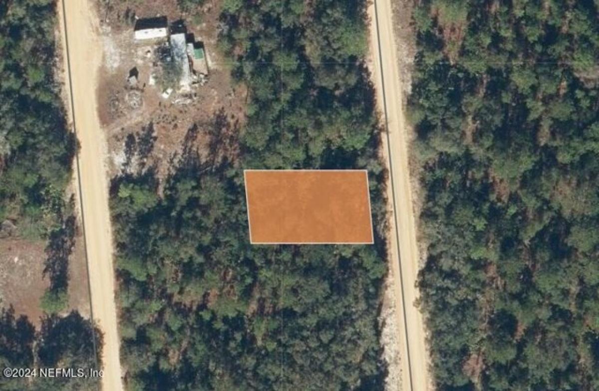 Picture of Residential Land For Rent in Interlachen, Florida, United States