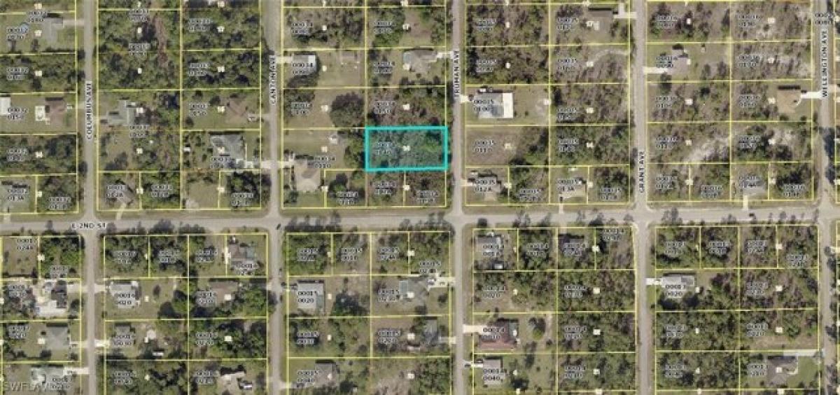 Picture of Residential Land For Sale in Lehigh Acres, Florida, United States