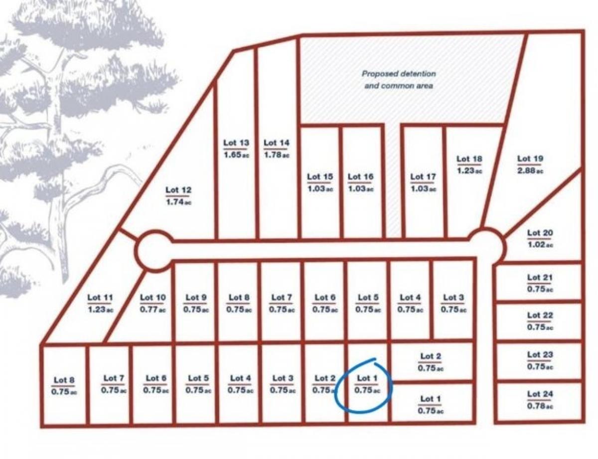 Picture of Residential Land For Sale in Beaumont, Texas, United States
