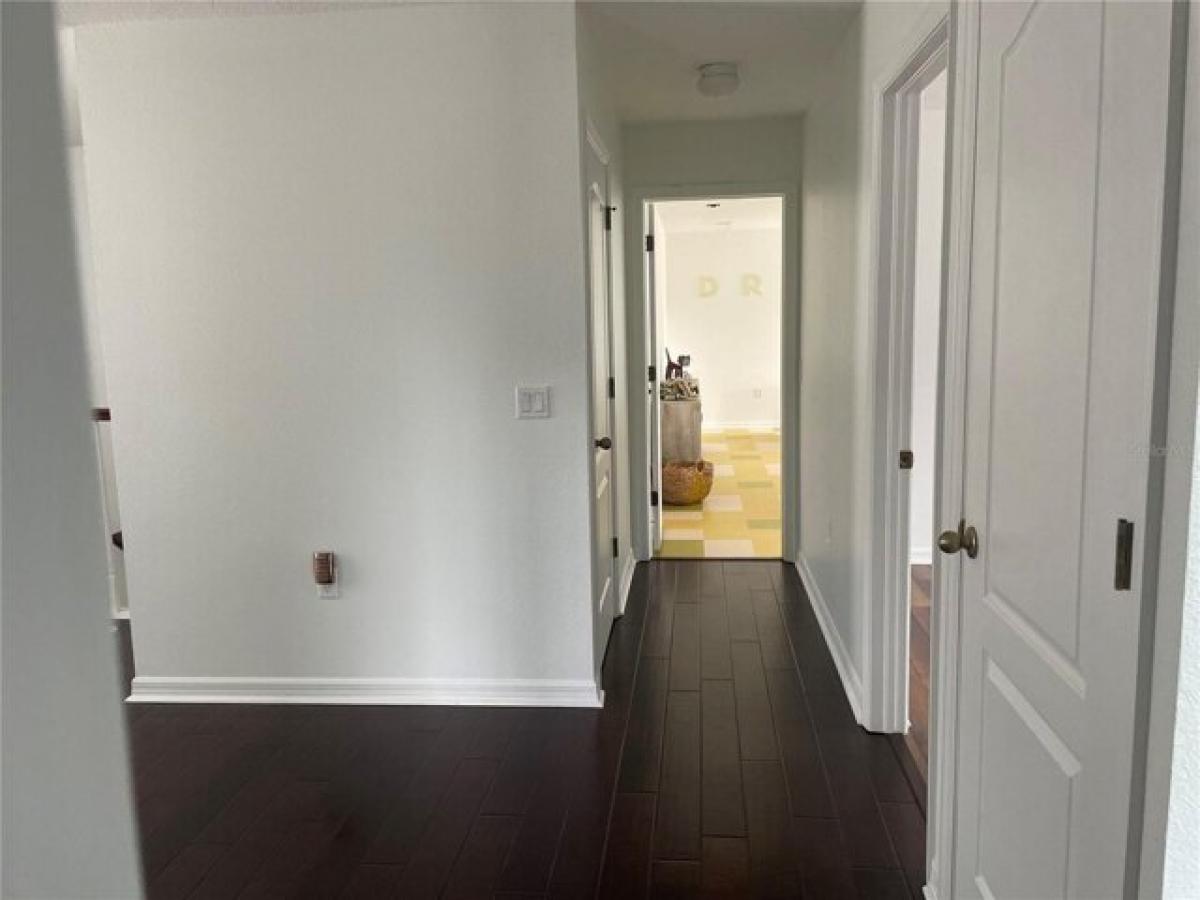 Picture of Home For Rent in Tampa, Florida, United States