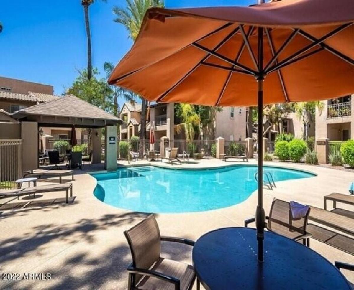 Picture of Apartment For Rent in Scottsdale, Arizona, United States