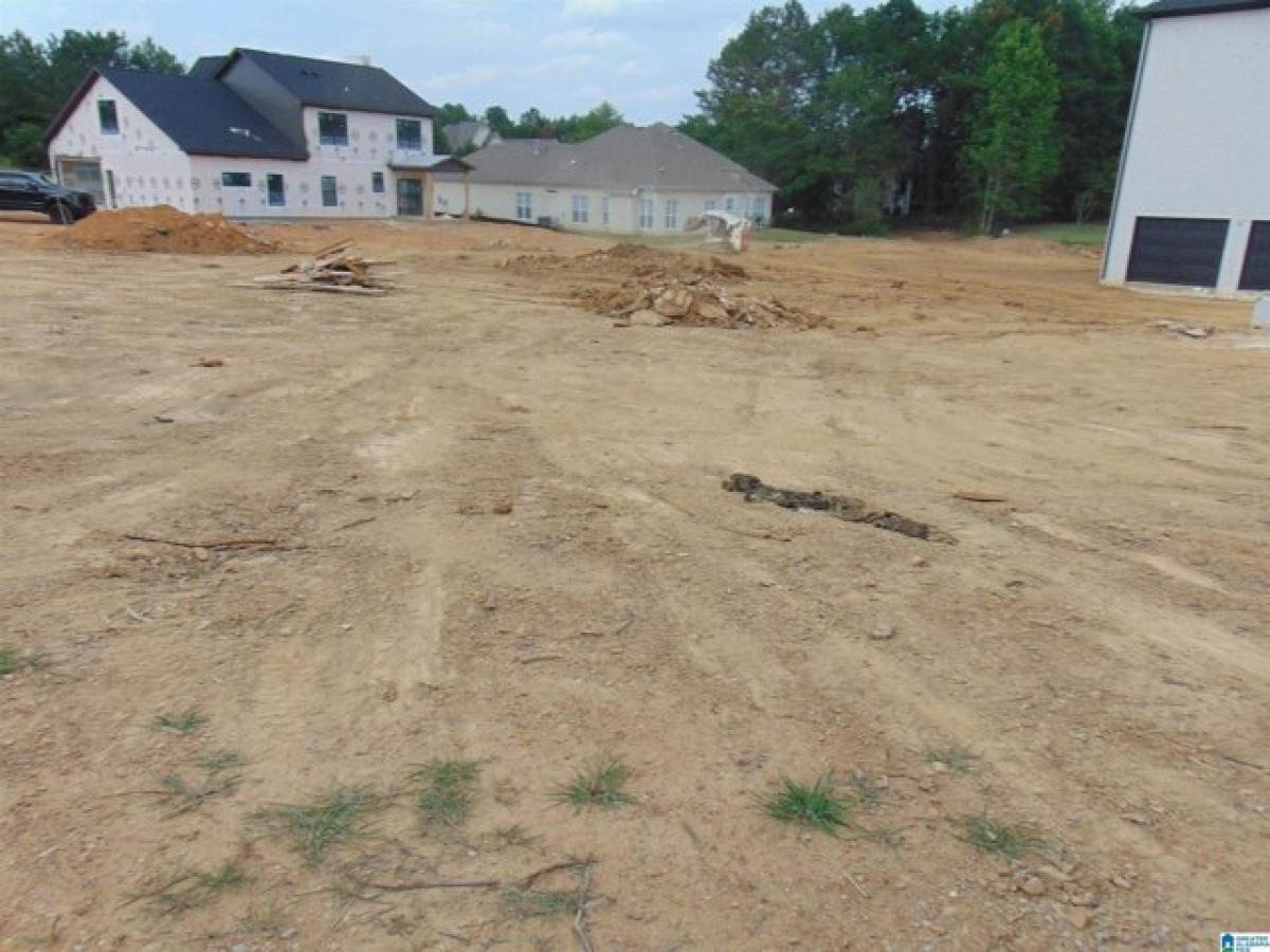 Picture of Residential Land For Sale in Birmingham, Alabama, United States