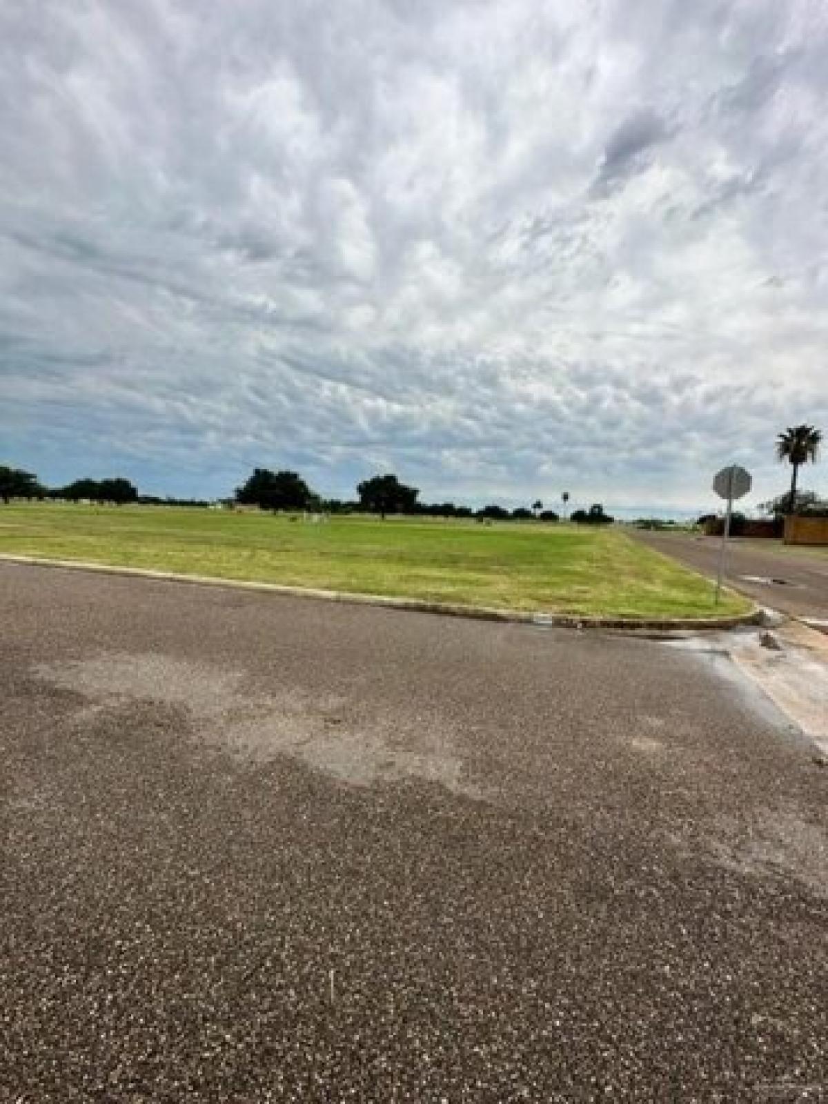 Picture of Residential Land For Sale in Edinburg, Texas, United States