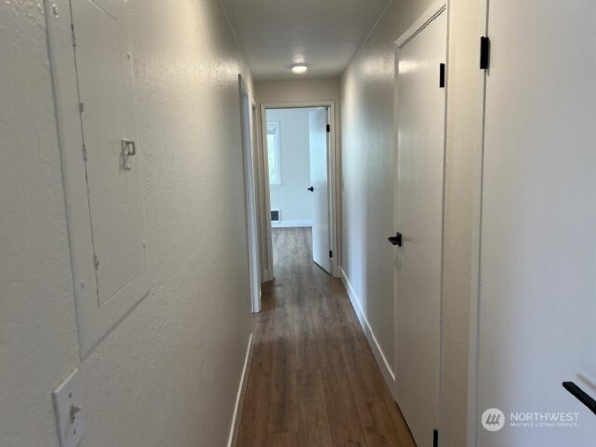 Picture of Home For Rent in Bellevue, Washington, United States