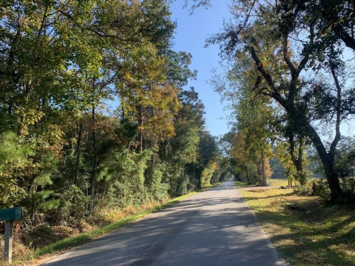 Picture of Residential Land For Sale in Cleveland, Texas, United States