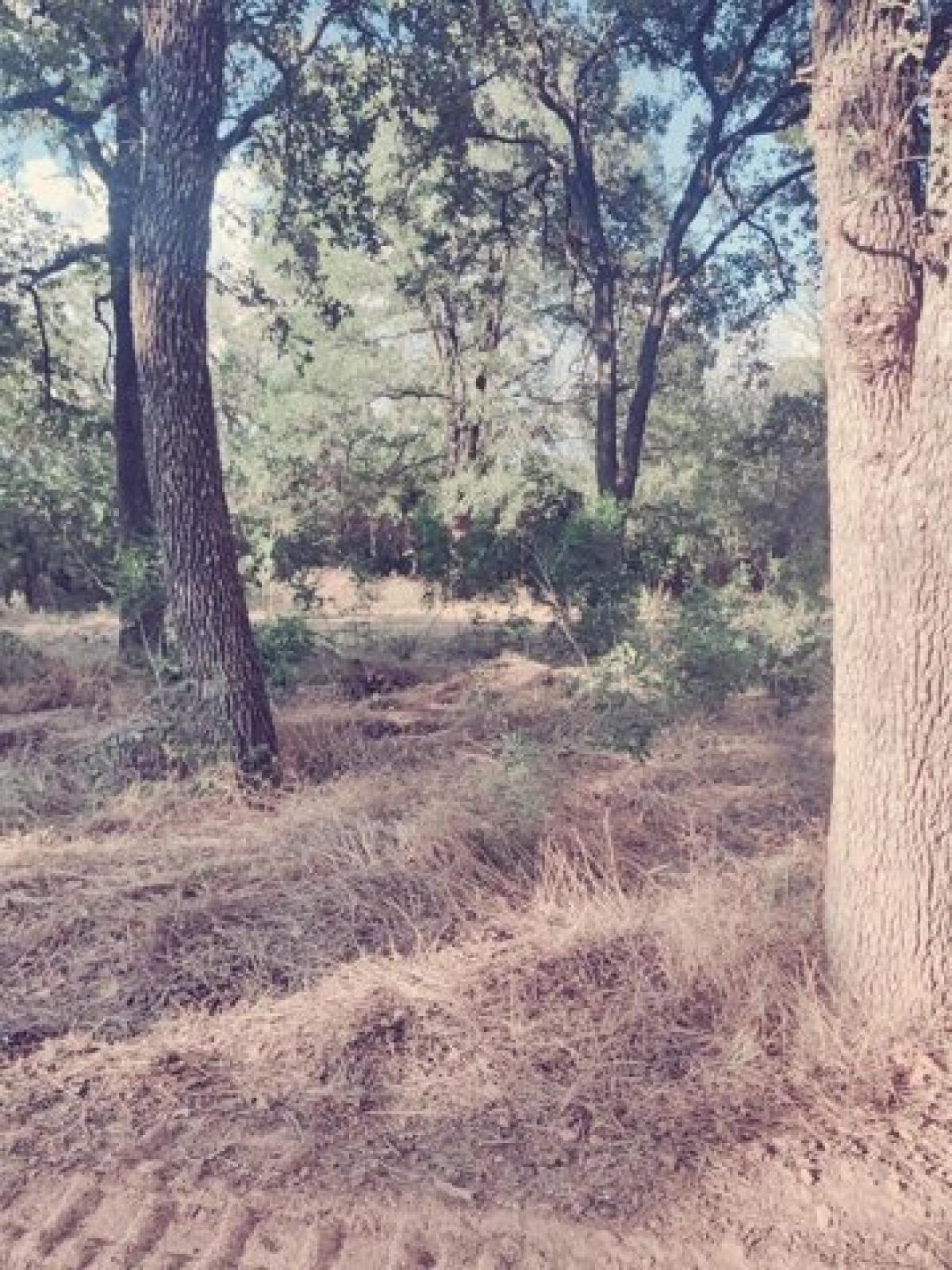 Picture of Residential Land For Sale in Weatherford, Texas, United States