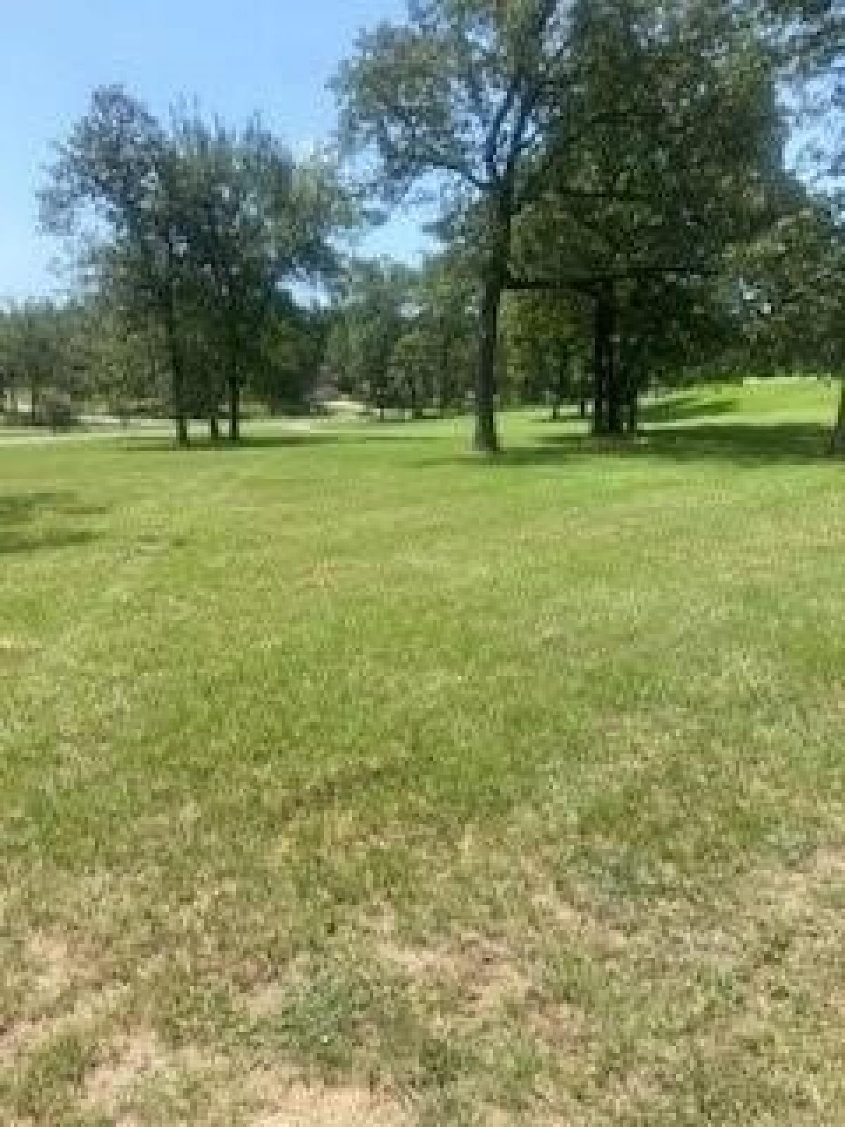 Picture of Residential Land For Sale in Mabank, Texas, United States