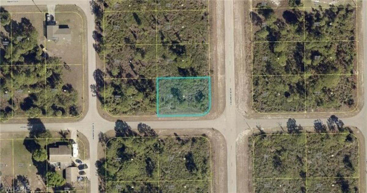 Picture of Residential Land For Sale in Lehigh Acres, Florida, United States