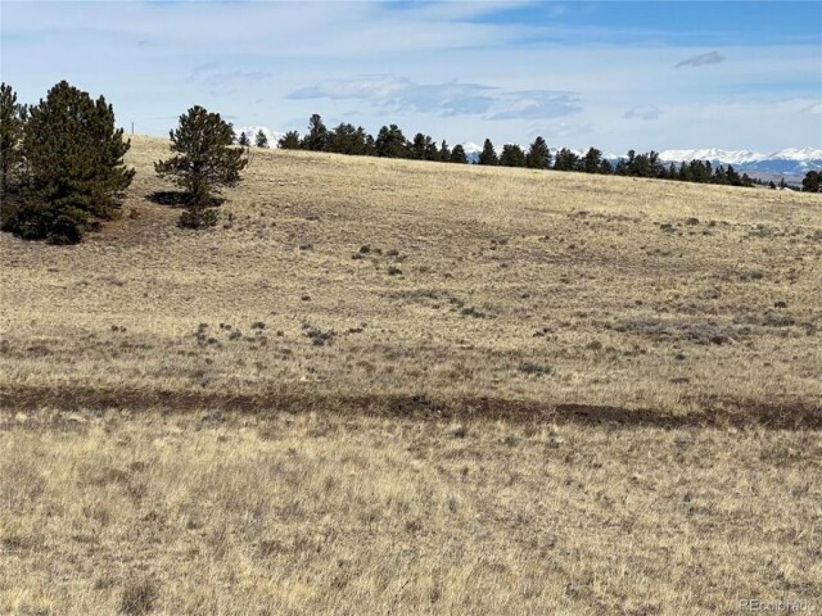 Picture of Residential Land For Sale in Hartsel, Colorado, United States