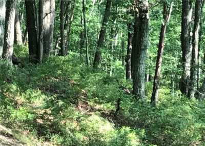 Residential Land For Sale in Inverness, Florida