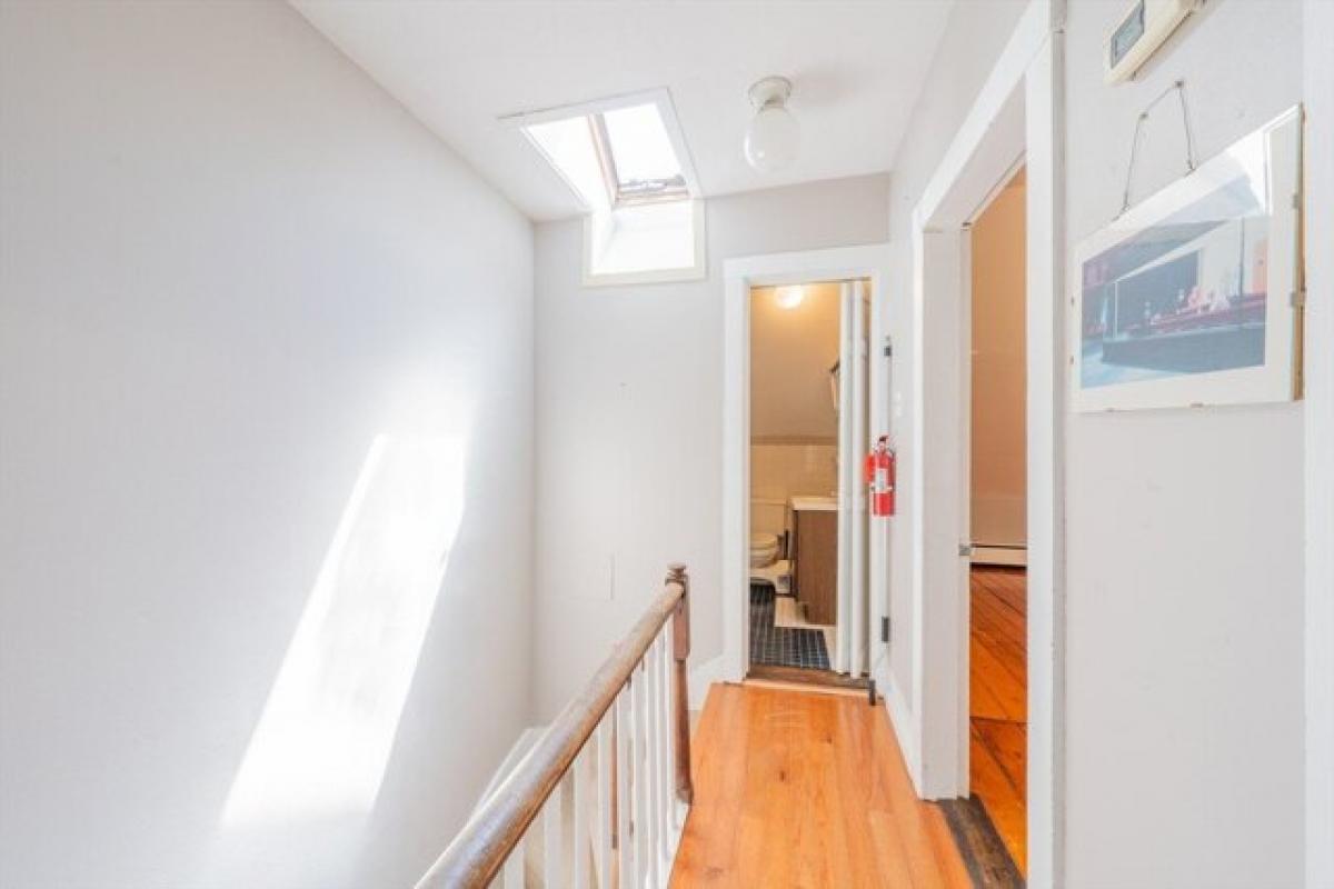 Picture of Apartment For Rent in Cambridge, Massachusetts, United States