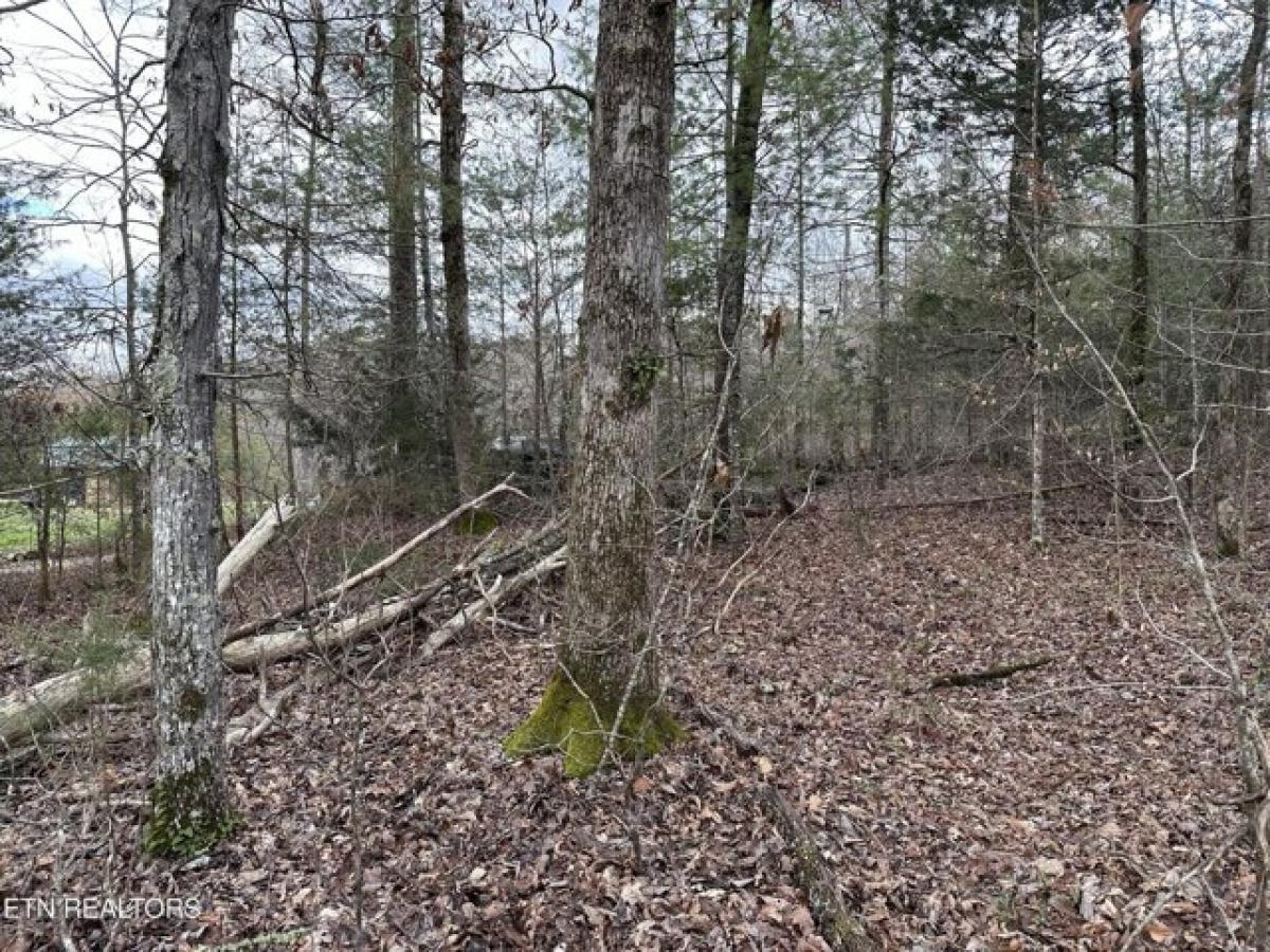 Picture of Residential Land For Sale in Tellico Plains, Tennessee, United States