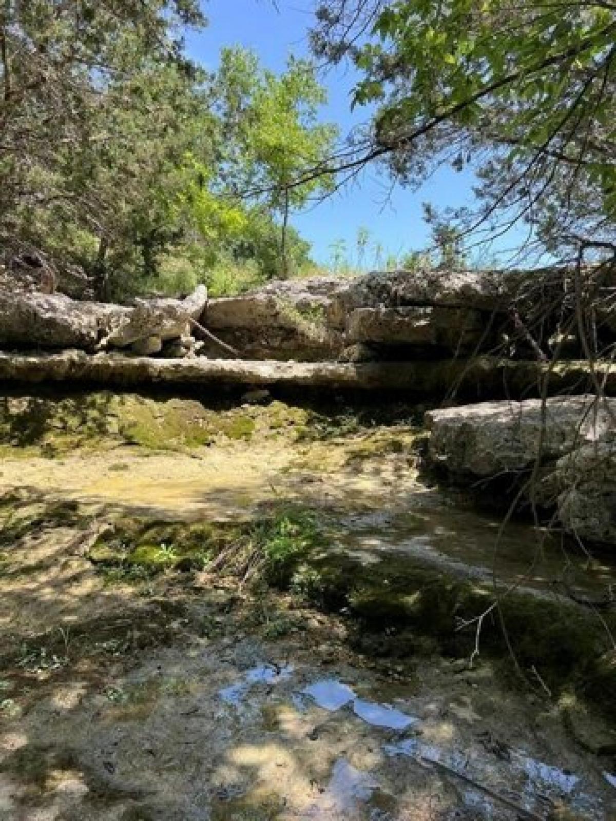 Picture of Home For Sale in Dripping Springs, Texas, United States