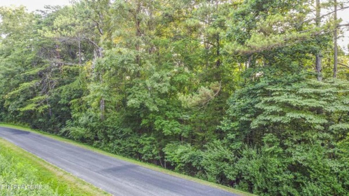 Picture of Residential Land For Sale in Loudon, Tennessee, United States
