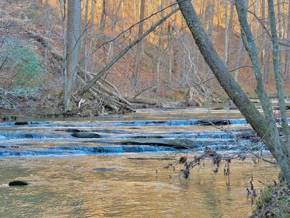 Picture of Residential Land For Rent in Talking Rock, Georgia, United States