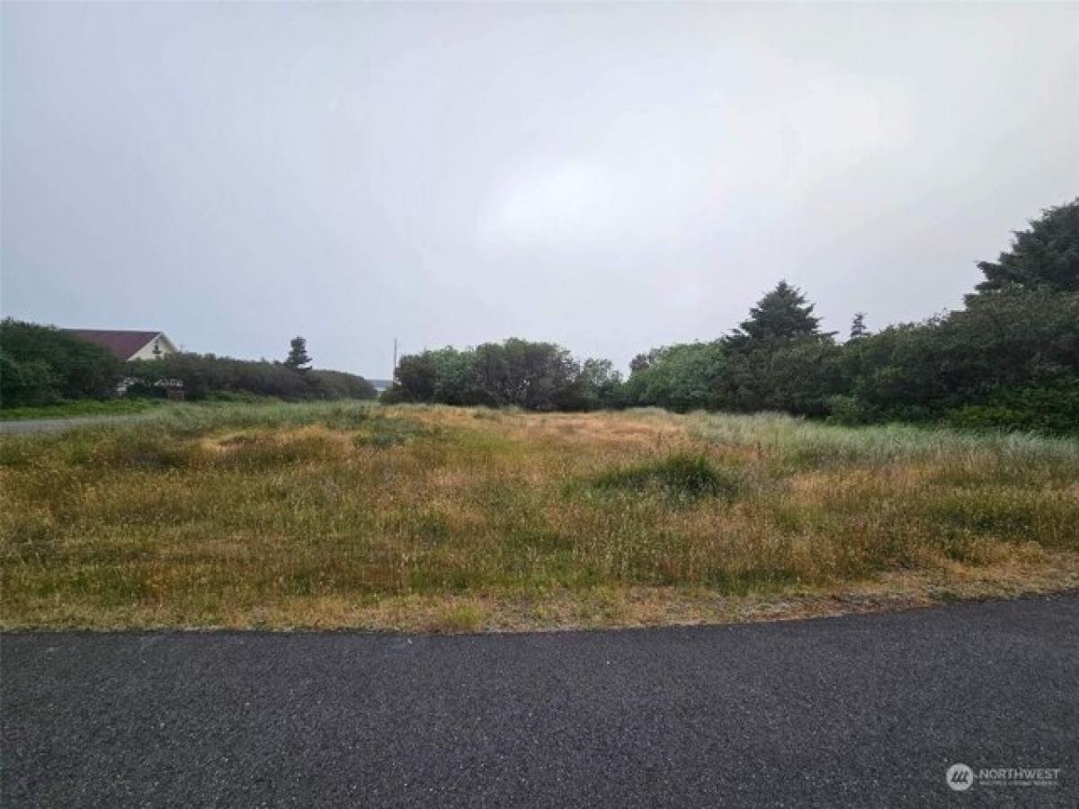 Picture of Residential Land For Sale in Ocean Shores, Washington, United States