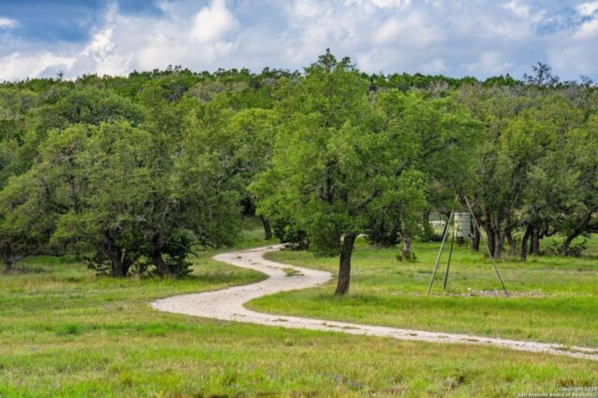 Picture of Residential Land For Sale in Kerrville, Texas, United States