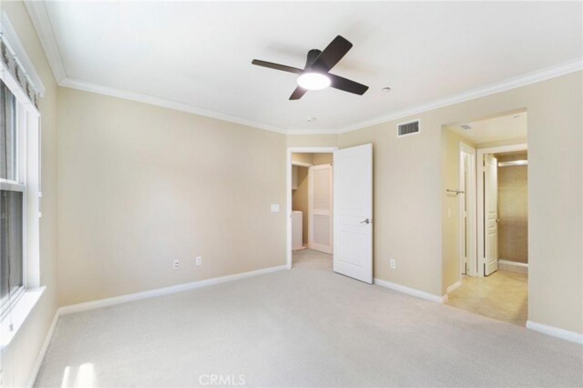 Picture of Home For Rent in Newport Beach, California, United States