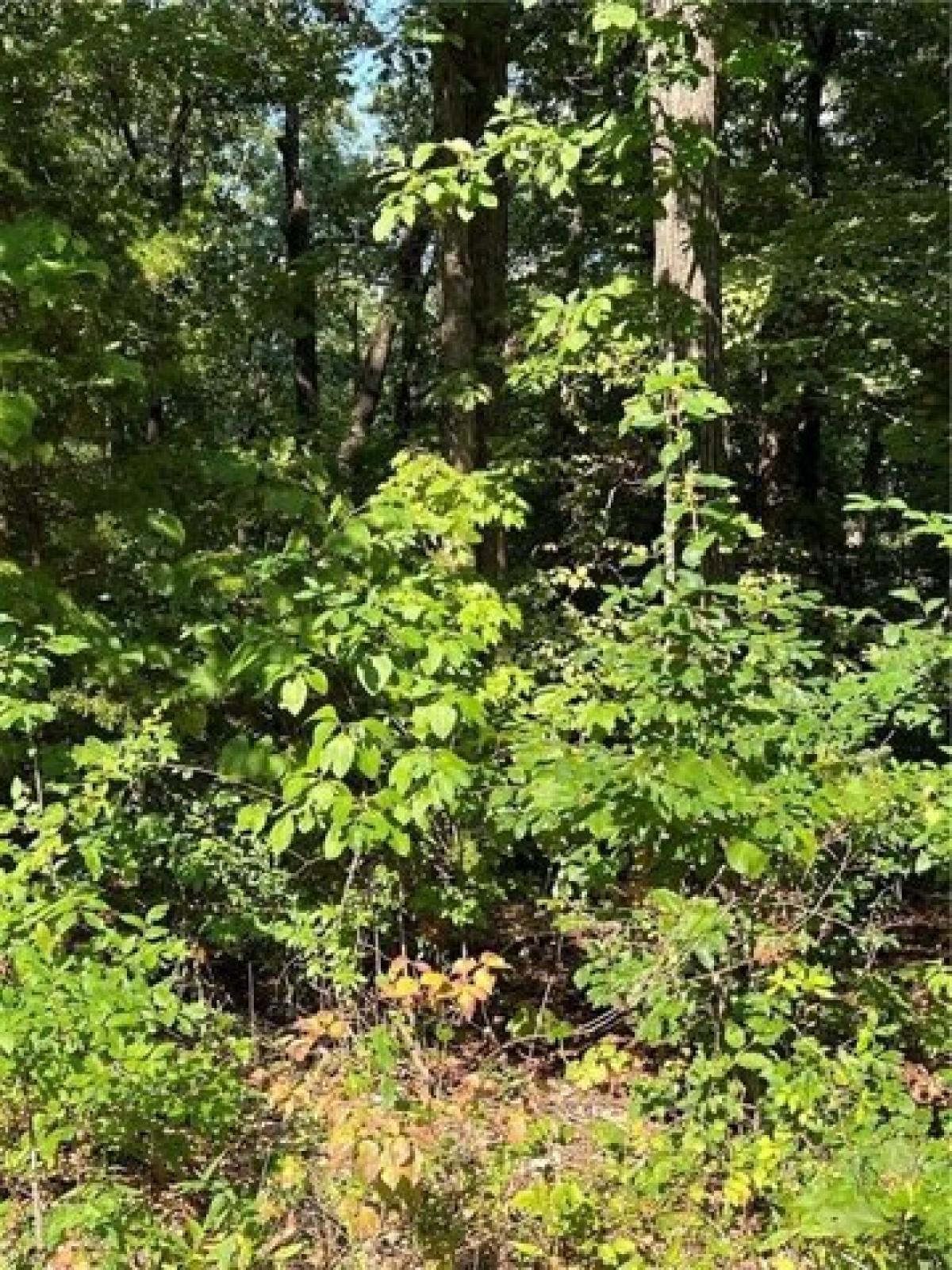 Picture of Residential Land For Sale in Bella Vista, Arkansas, United States