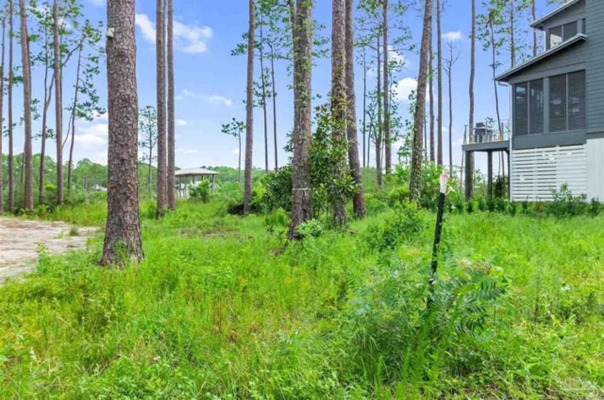 Picture of Residential Land For Sale in Santa Rosa Beach, Florida, United States