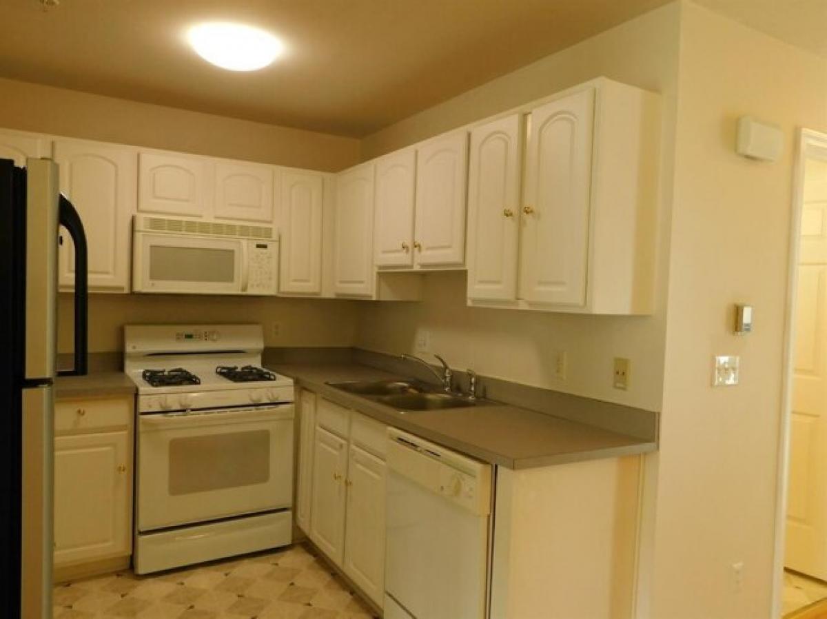 Picture of Home For Rent in Ann Arbor, Michigan, United States