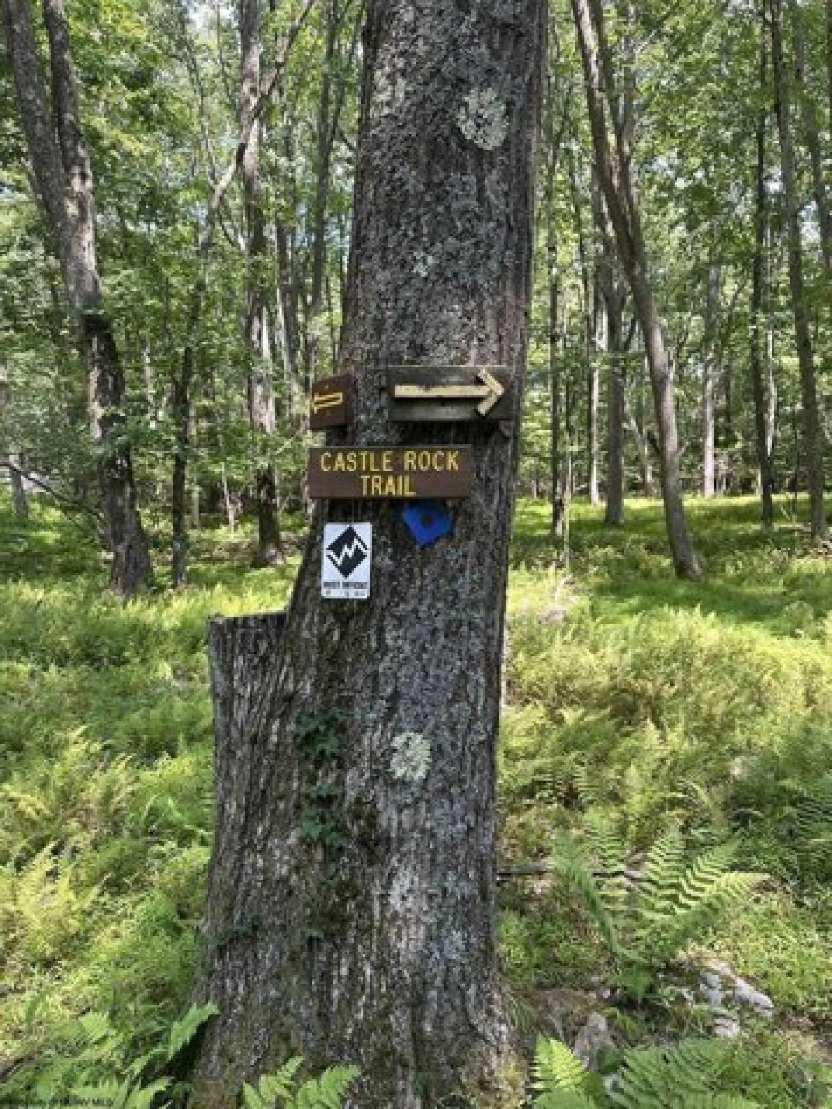 Picture of Residential Land For Rent in Terra Alta, West Virginia, United States