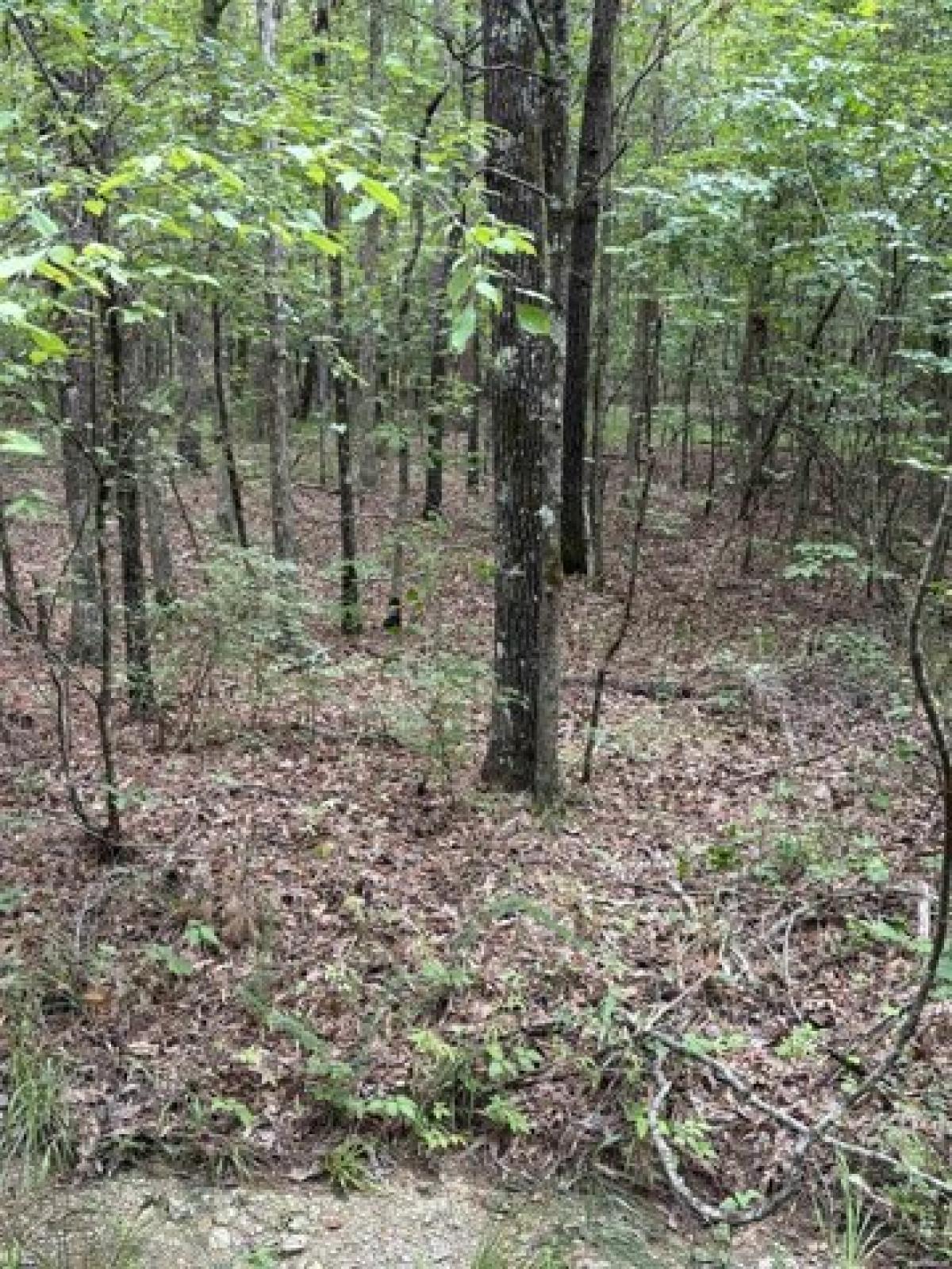 Picture of Residential Land For Rent in Hot Springs Village, Arkansas, United States