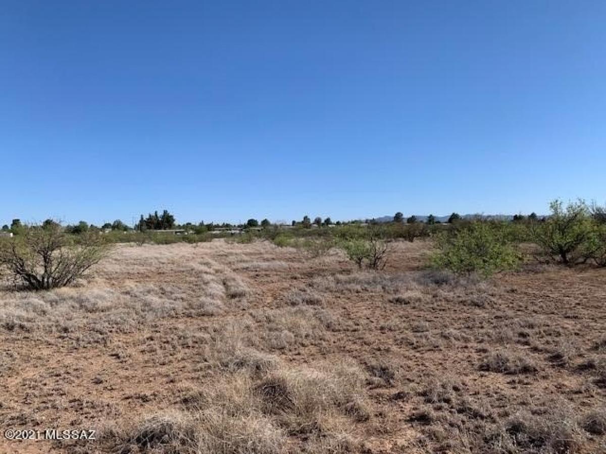 Picture of Residential Land For Sale in Douglas, Arizona, United States