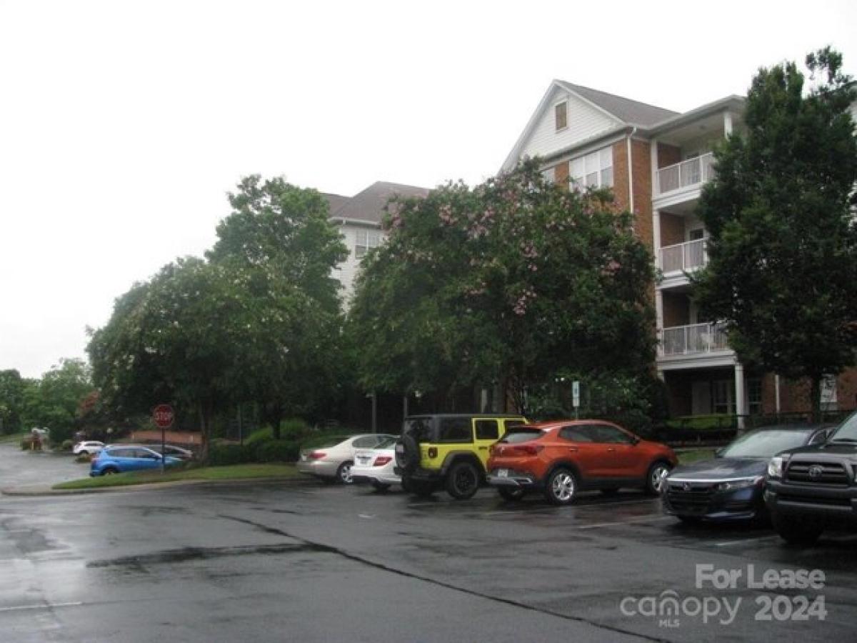 Picture of Home For Rent in Charlotte, North Carolina, United States