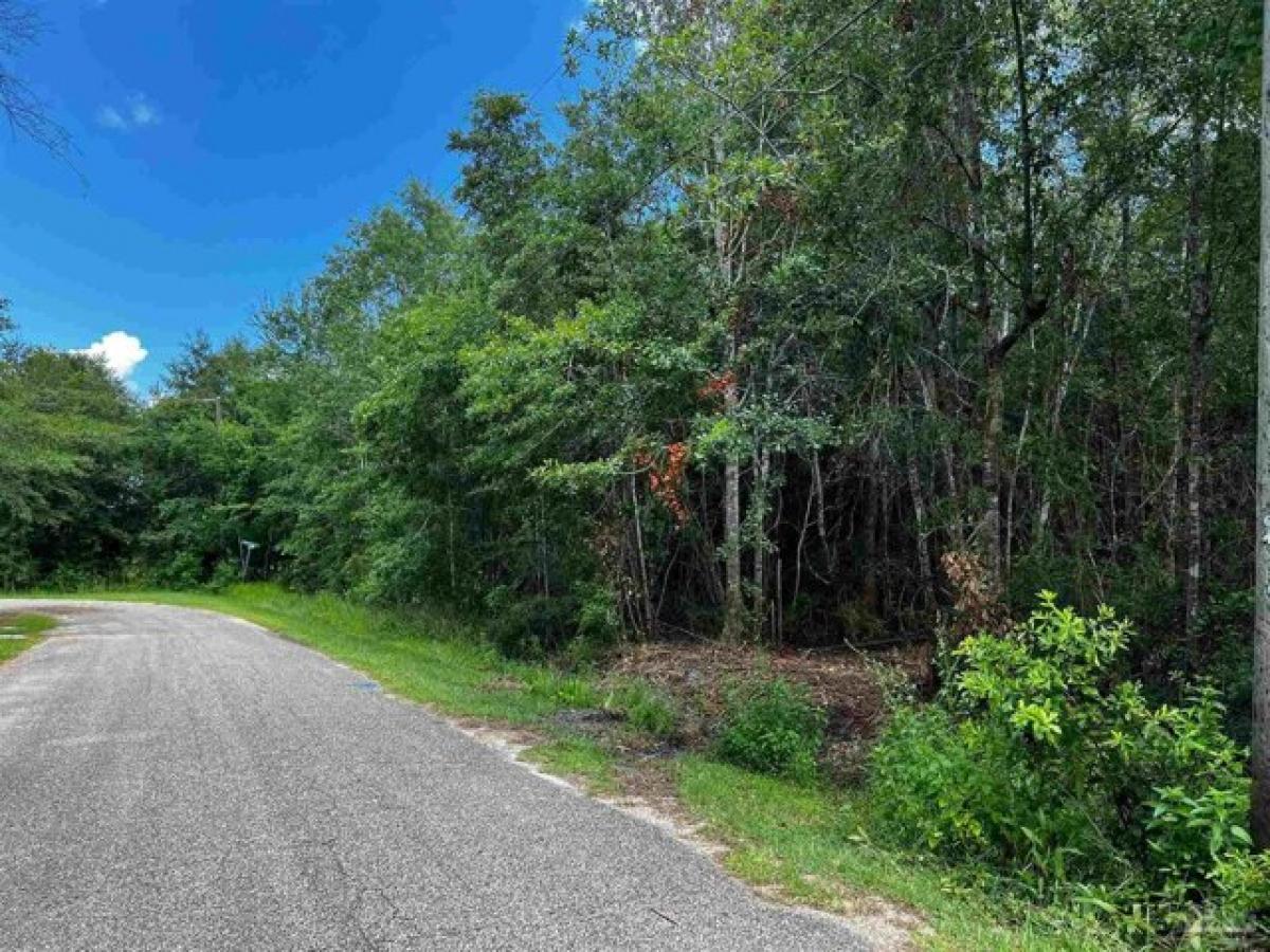 Picture of Residential Land For Sale in Milton, Florida, United States
