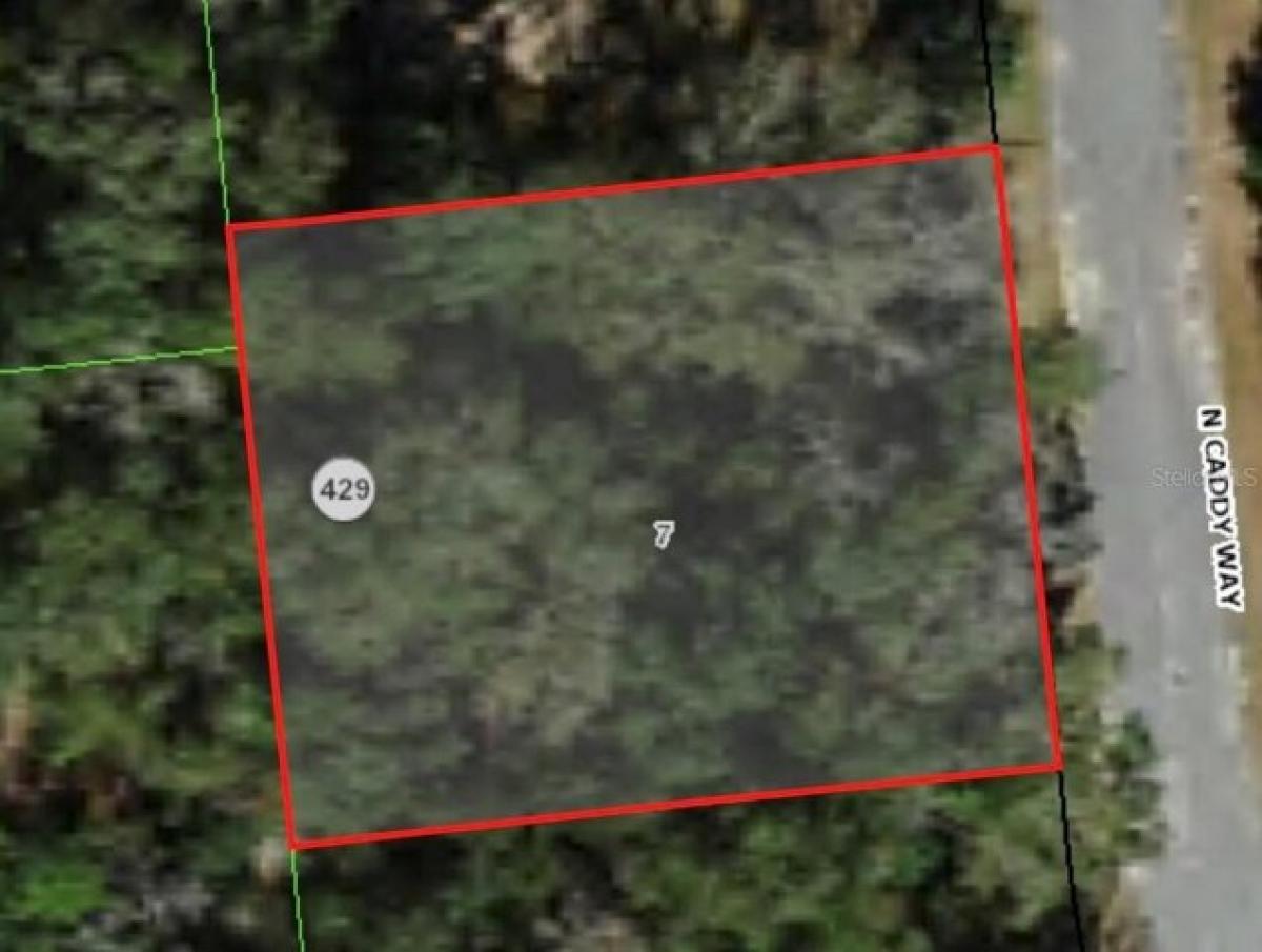 Picture of Residential Land For Sale in Citrus Springs, Florida, United States