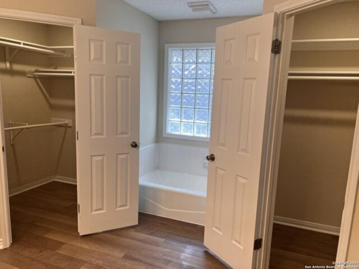 Picture of Home For Rent in New Braunfels, Texas, United States