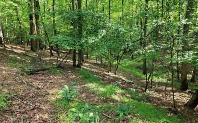 Residential Land For Rent in Ellijay, Georgia