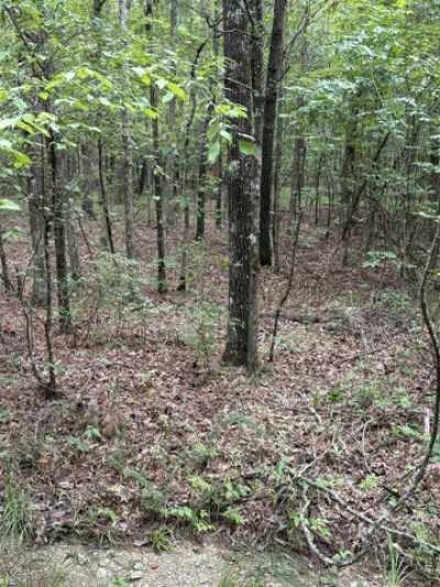 Residential Land For Rent in Hot Springs Village, Arkansas