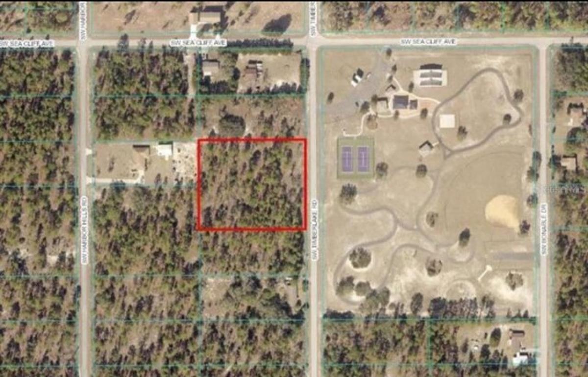 Picture of Residential Land For Sale in Dunnellon, Florida, United States