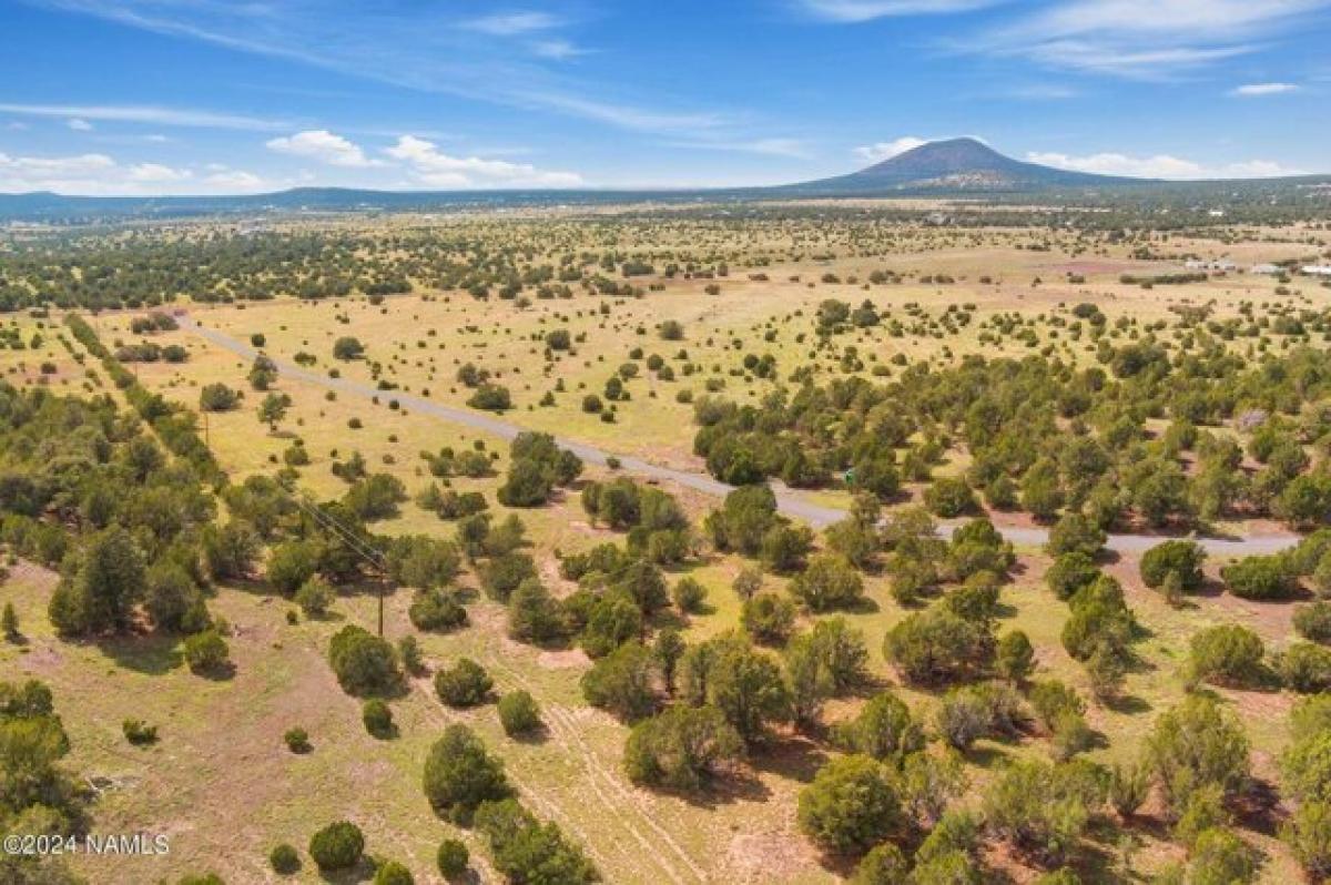 Picture of Residential Land For Sale in Williams, Arizona, United States