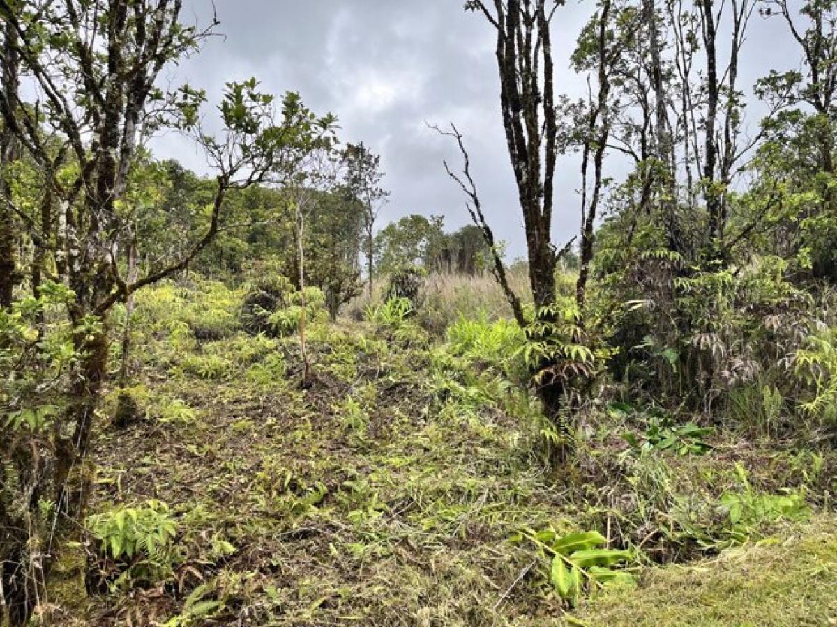 Picture of Residential Land For Sale in Mountain View, Hawaii, United States