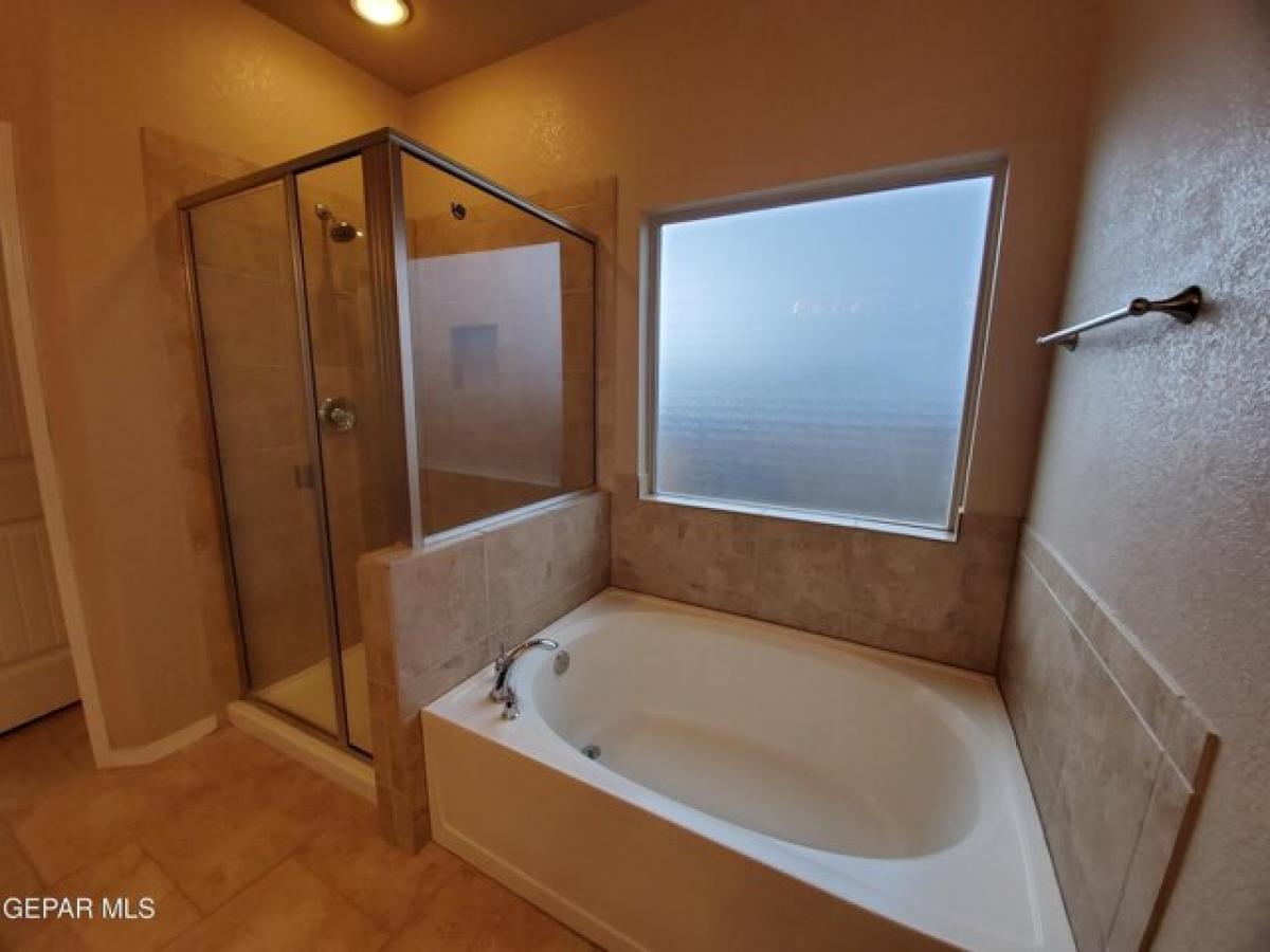 Picture of Home For Rent in El Paso, Texas, United States