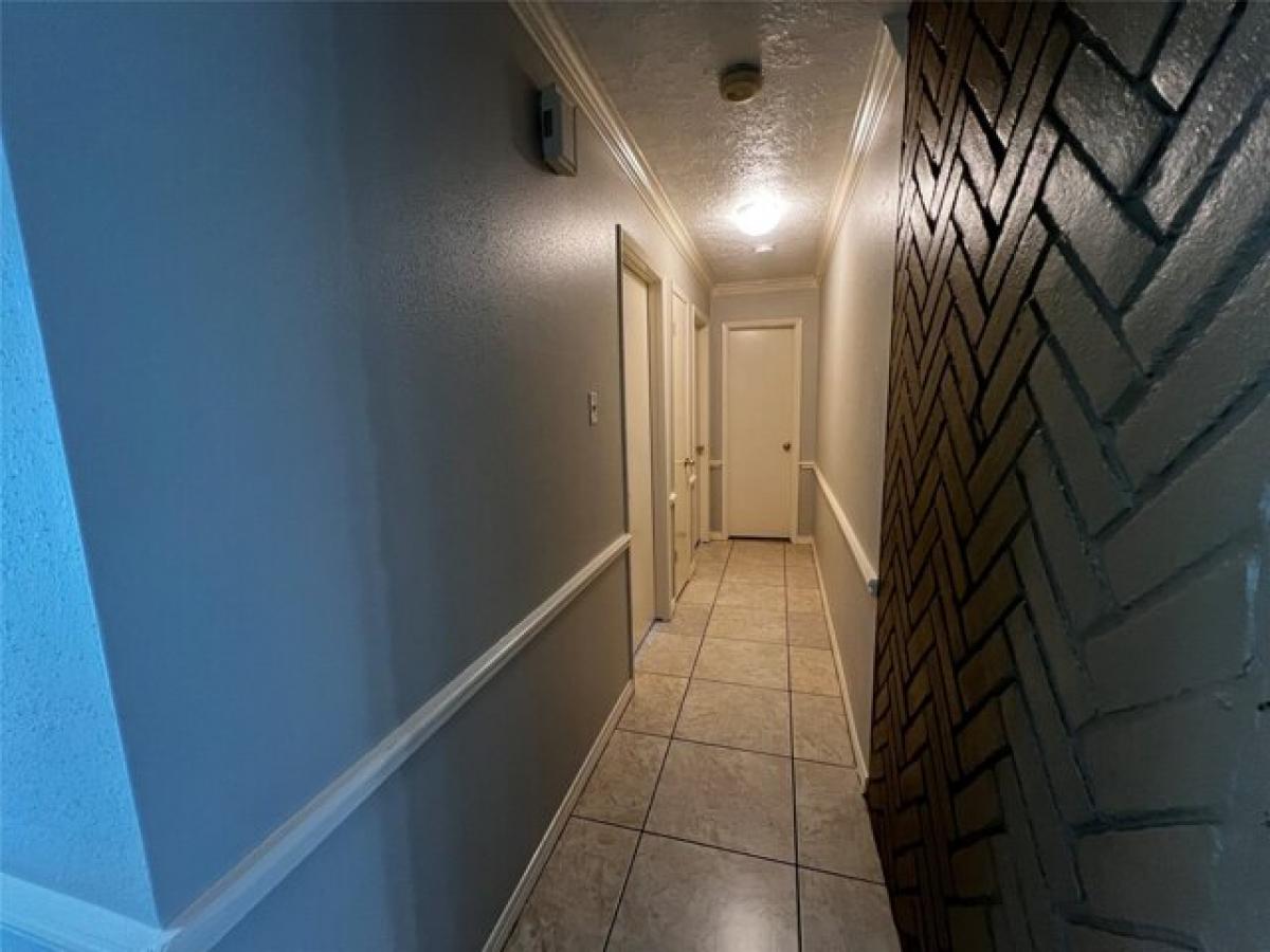 Picture of Home For Rent in Cypress, Texas, United States