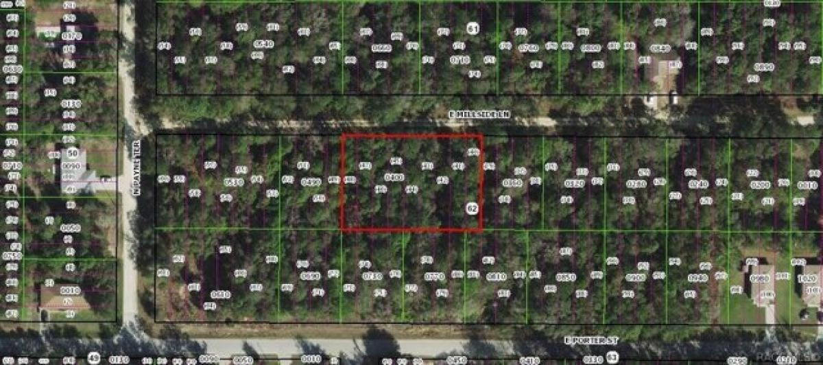Picture of Residential Land For Sale in Inverness, Florida, United States