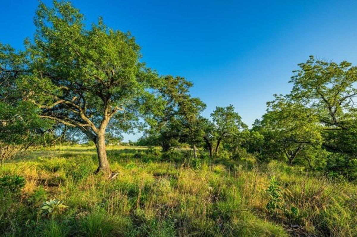 Picture of Residential Land For Sale in Fredericksburg, Texas, United States