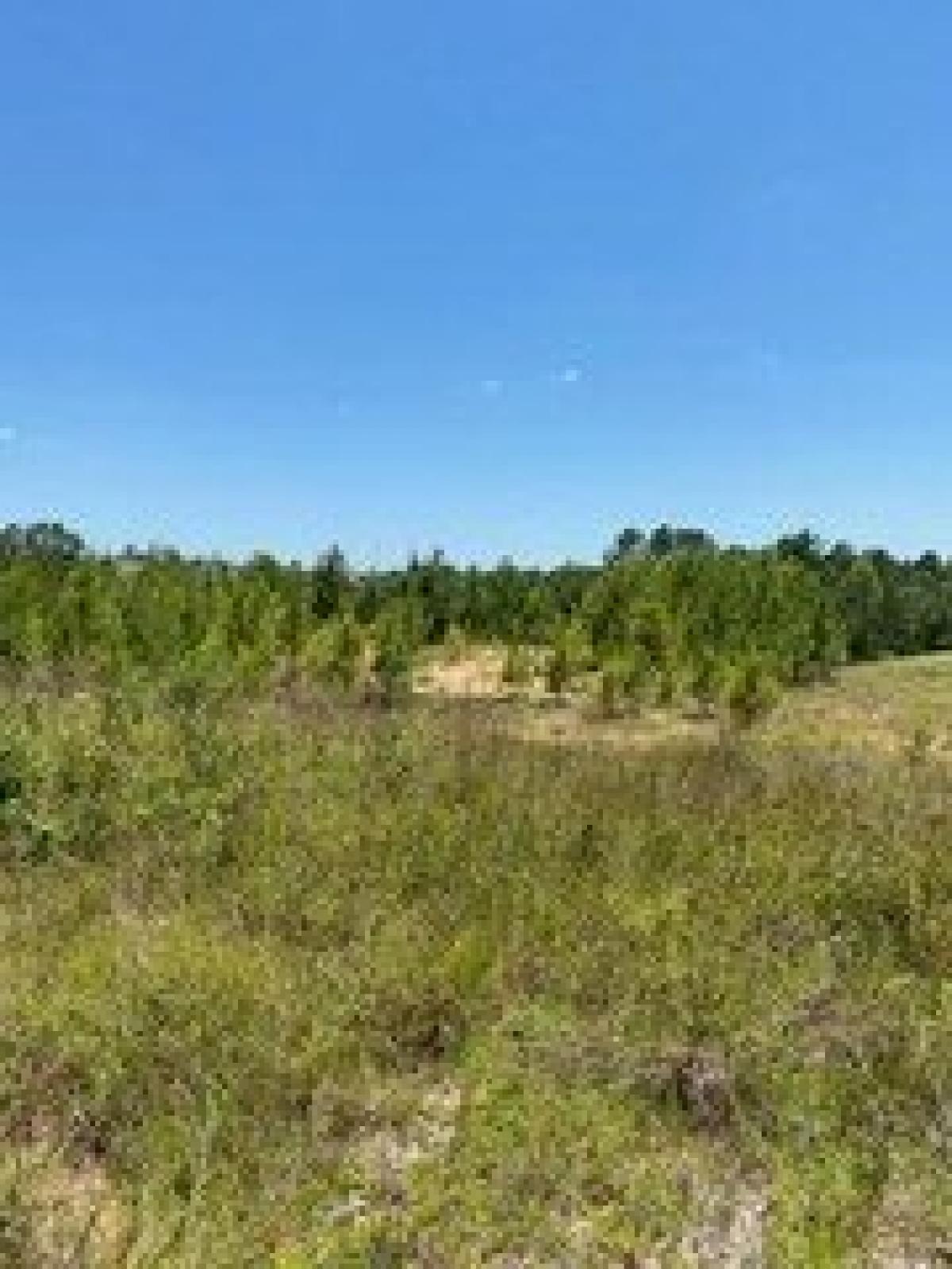 Picture of Residential Land For Sale in Leesville, Louisiana, United States