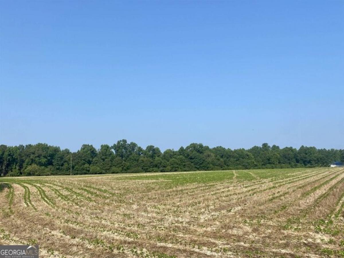 Picture of Residential Land For Sale in Montrose, Georgia, United States